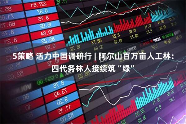 5策略 活力中国调研行 | 阿尔山百万亩人工林：四代务林人接续筑“绿”