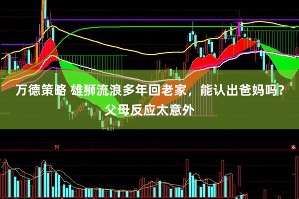 万德策略 雄狮流浪多年回老家，能认出爸妈吗？父母反应太意外
