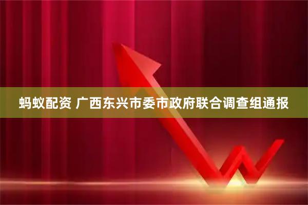 蚂蚁配资 广西东兴市委市政府联合调查组通报